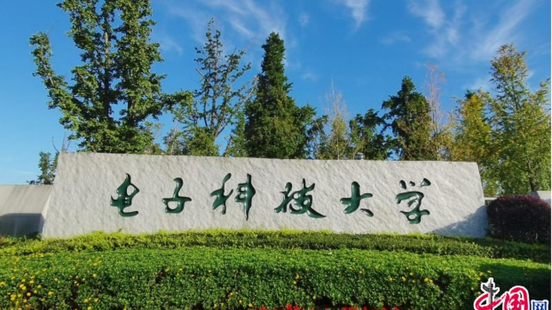 继电器：揭秘其背后的技术奥秘与选购要点